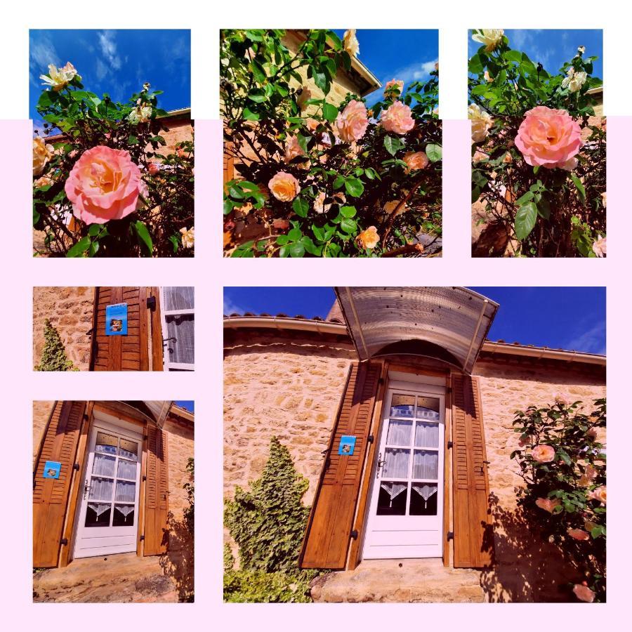 Le Logis Des 3 Coeurs Chambre La Boheme Bed & Breakfast Saint-Cernin-de-l'Herm Exterior photo